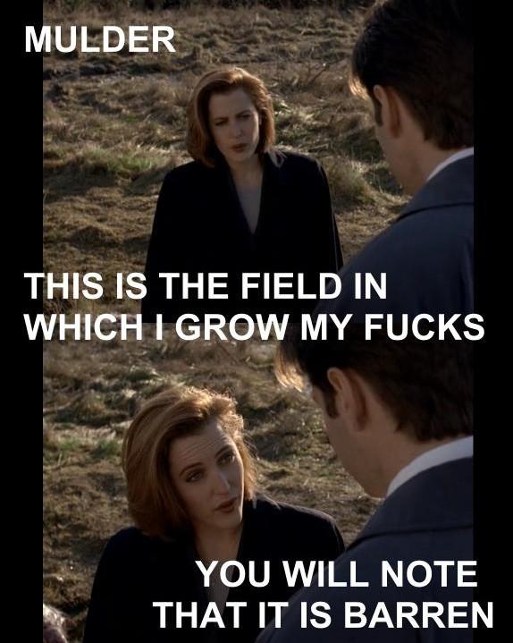 Scully saying "mulder.
this is the field in which I grow my fucks"
"You will notice that it is barren"